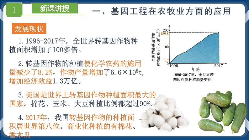 3.3 基因工程的应用 (课件+练习）高二生物（人教版2019选择性必修3）04