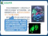 3.4 蛋白质工程的原理和应用 (课件+练习）高二生物（人教版2019选择性必修3）