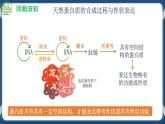 3.4 蛋白质工程的原理和应用 (课件+练习）高二生物（人教版2019选择性必修3）