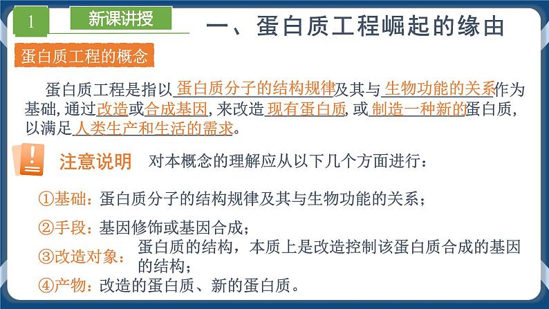 3.4 蛋白质工程的原理和应用 (课件+练习）高二生物（人教版2019选择性必修3）05