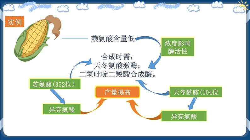 3.4 蛋白质工程的原理和应用 (课件+练习）高二生物（人教版2019选择性必修3）07