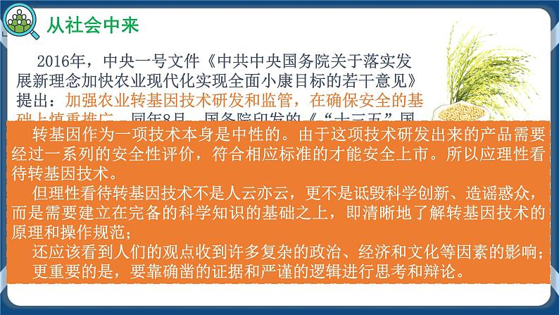 4.1 转基因食品的安全性（课件+练习）高二生物（人教版2019选择性必修3）03