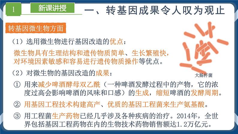 4.1 转基因食品的安全性（课件+练习）高二生物（人教版2019选择性必修3）04