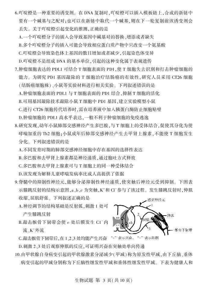 2021-2022学年山东省普通高中学业水平等级考试模拟（二）  生物试题  PDF版03