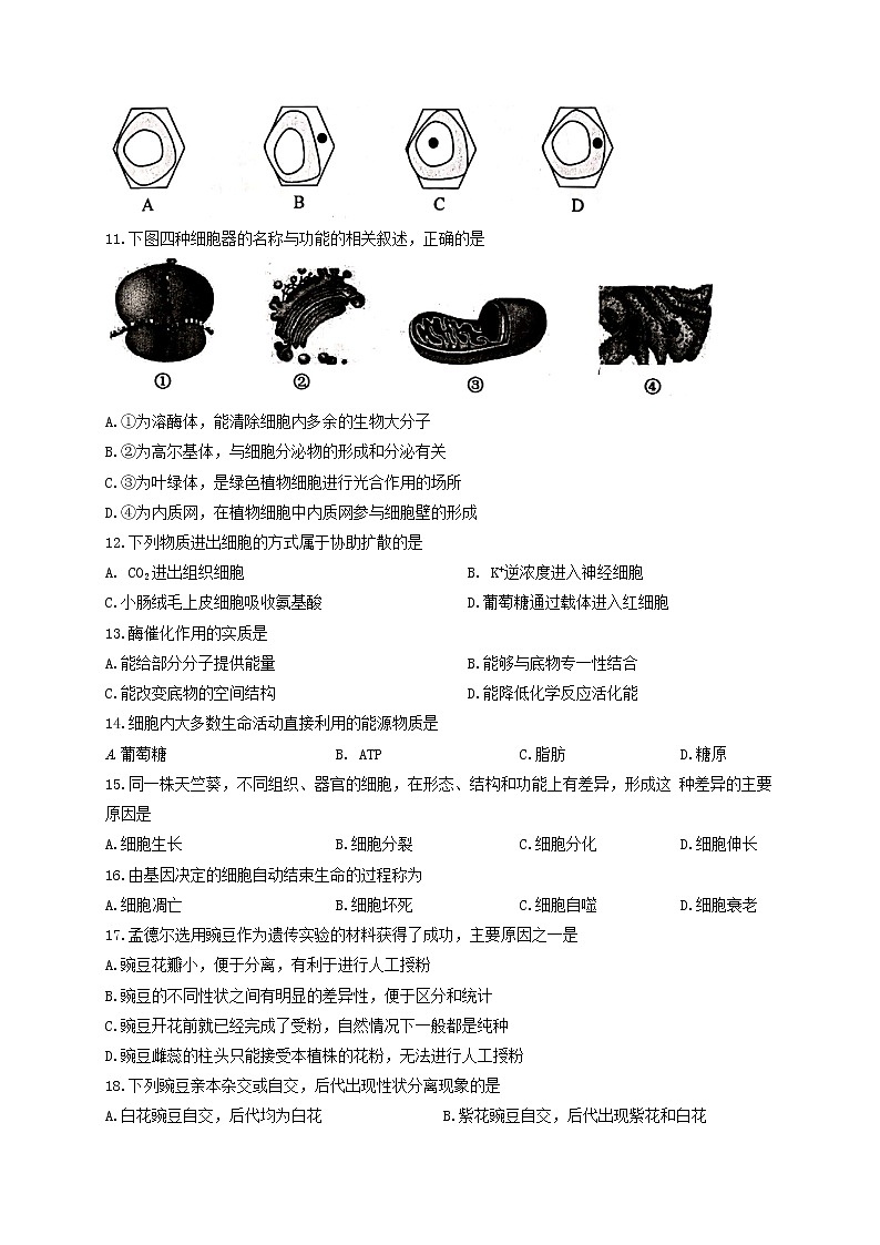 江苏省连云港市2021年普通高中学业水平合格性考试生物试题 Word版03