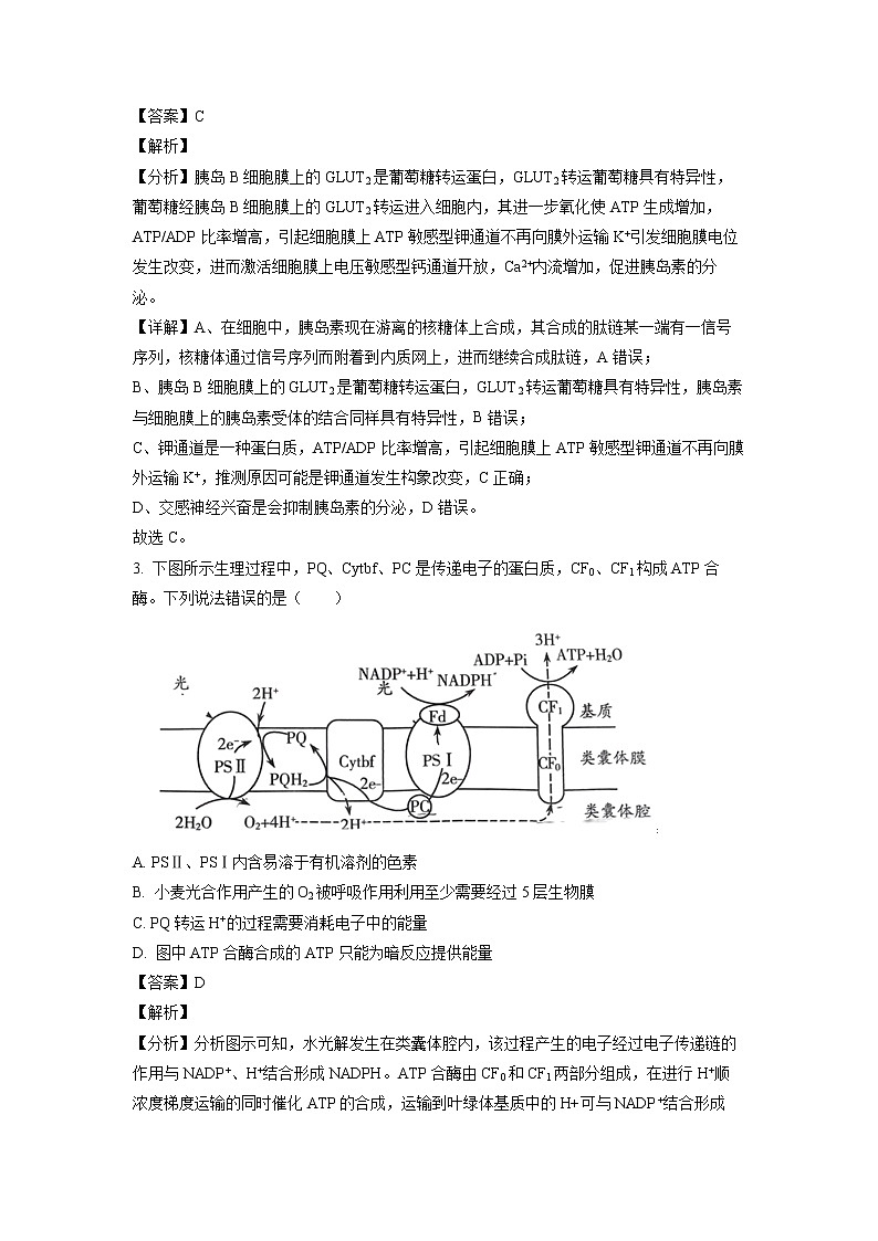 山东省潍坊市2023届高三上学期1月期末考试生物试题word版含解析02