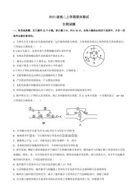 2023德州一中高二上学期1月期末考试生物试题pdf版含答案