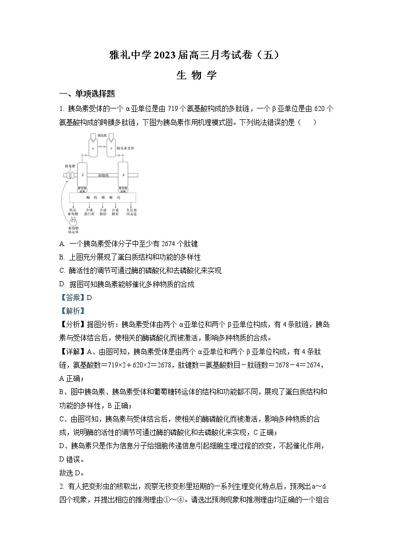 湖南省长沙市雅礼中学2022-2023学年高三生物上学期月考（五）试卷（Word版附解析）第1页