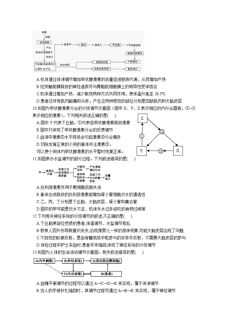 任丘市第一中学2022-2023学年高二生物上学期第一次阶段考试试卷（Word版附答案）第3页