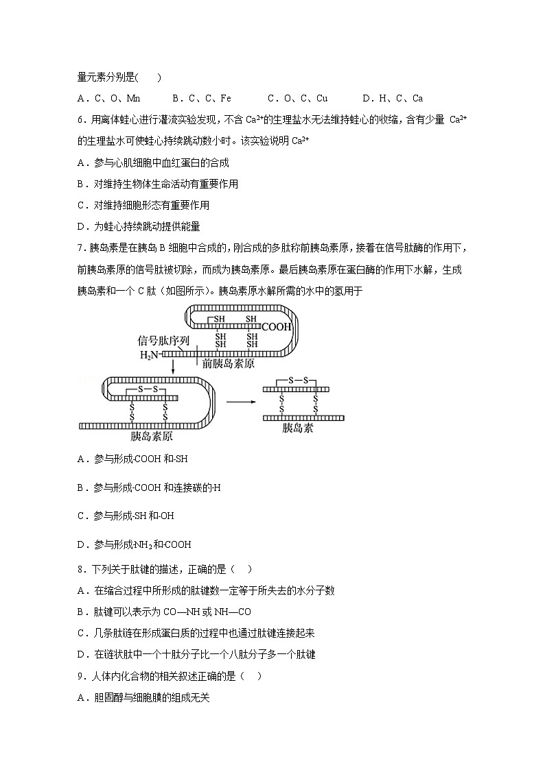 湖南省株洲市天元区2022-2023学年高一生物上学期12月月考试卷（Word版附答案）第2页