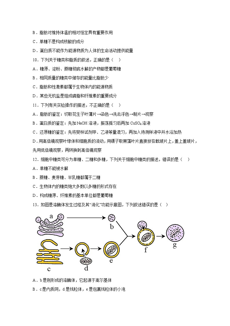 湖南省株洲市天元区2022-2023学年高一生物上学期12月月考试卷（Word版附答案）第3页