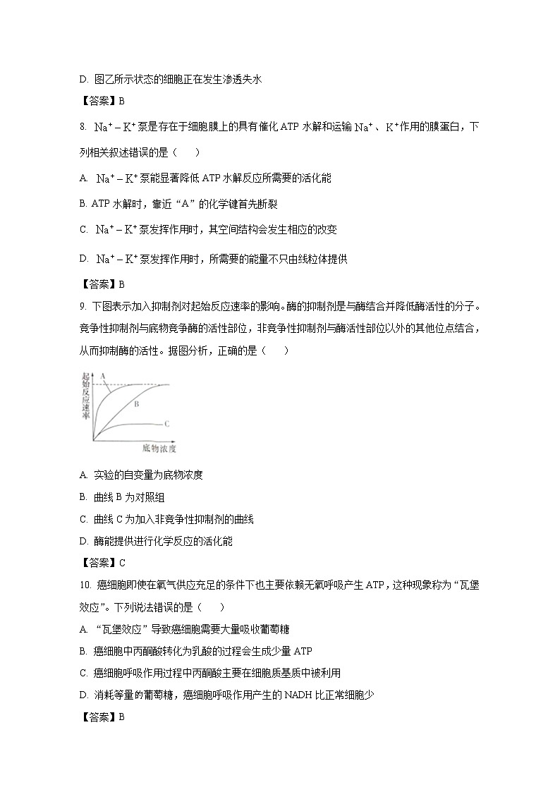 湖南省联考2022-2023学年高一生物上学期12月月考试卷（Word版附答案）03
