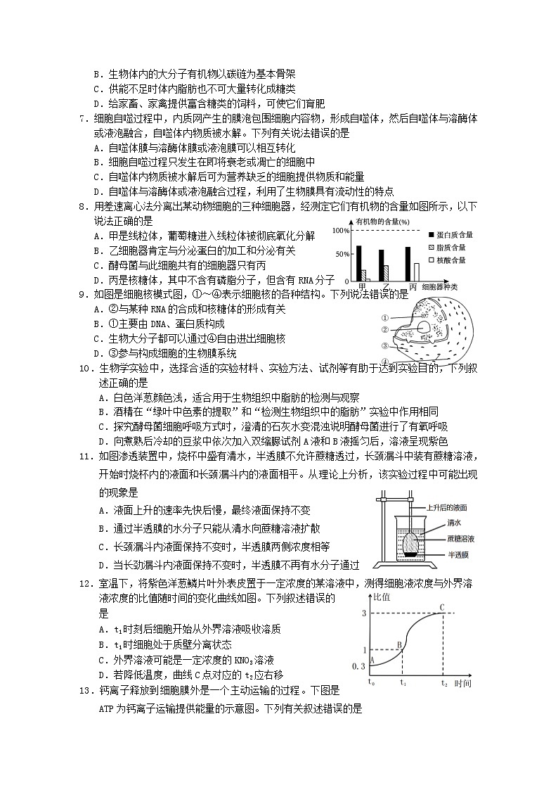 湖南省岳阳市2022-2023学年高一生物上学期期末质量监测试卷（Word版附答案）02