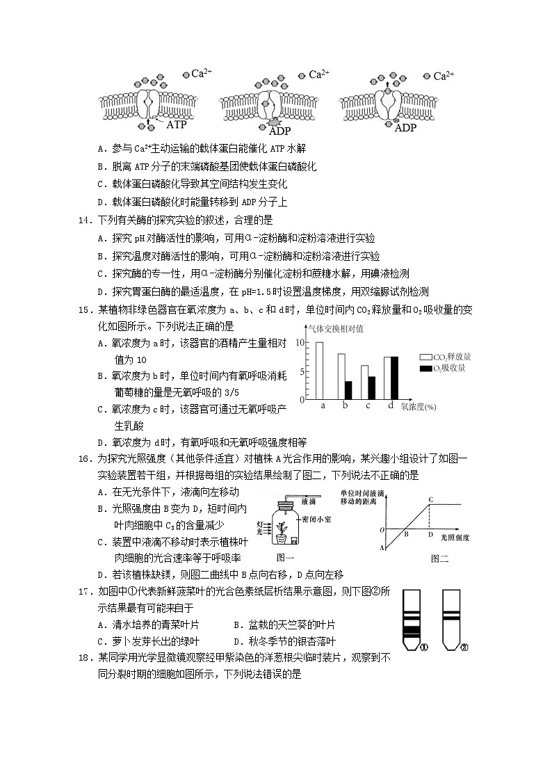 湖南省岳阳市2022-2023学年高一生物上学期期末质量监测试卷（Word版附答案）03