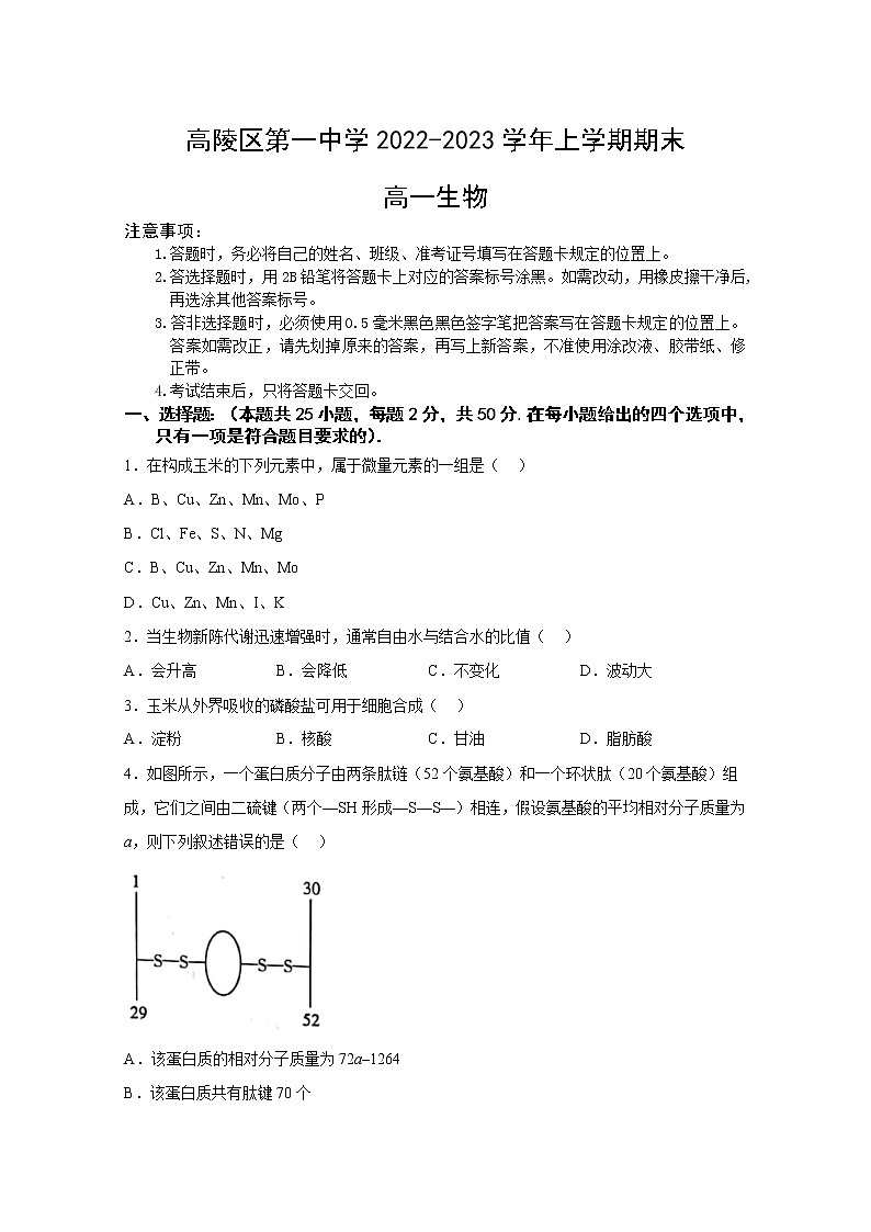 西安市高陵区第一中学2022-2023学年高一生物上学期1月期末考试试卷（Word版附答案）第1页