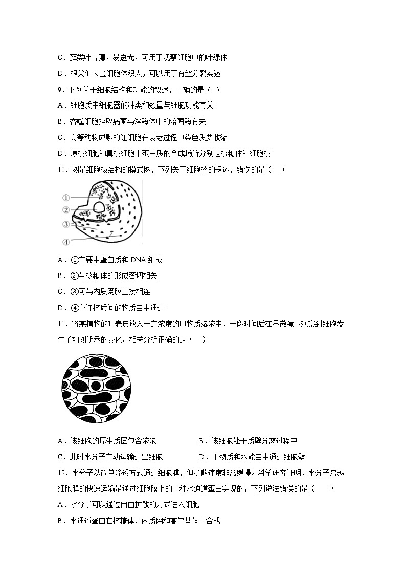 西安市高陵区第一中学2022-2023学年高一生物上学期1月期末考试试卷（Word版附答案）第3页