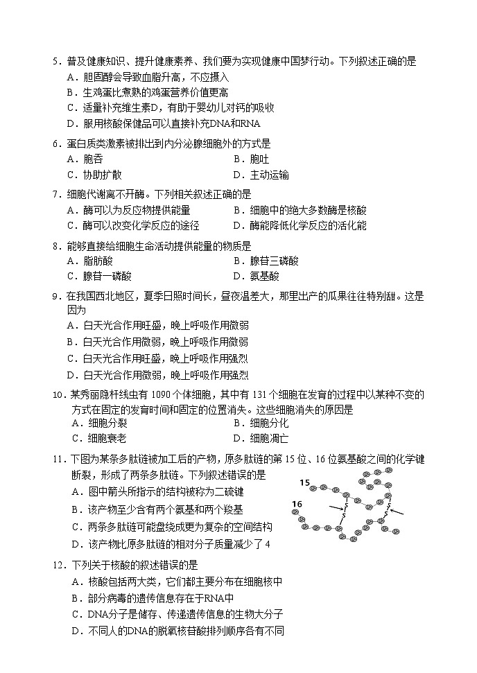 辽宁省大连市2022-2023学年高一生物上学期12月期末考试试卷（Word版附答案）02