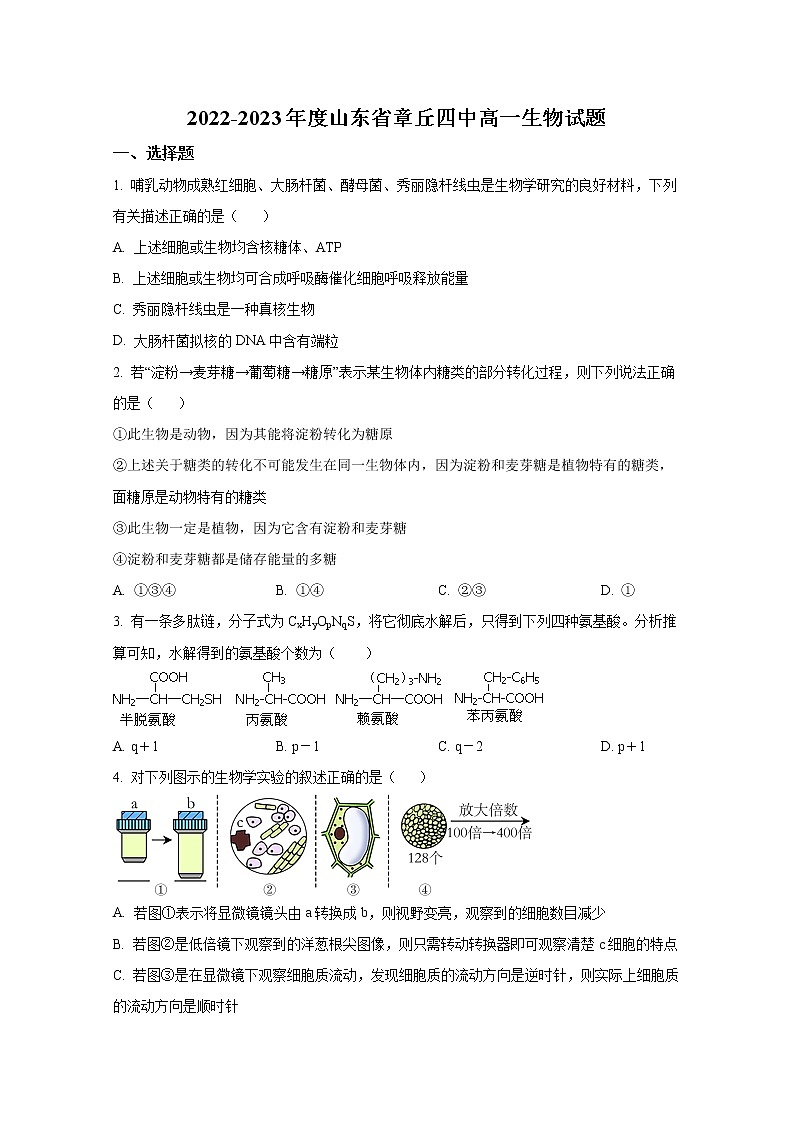 济南市章丘区第四中学2022-2023学年高一生物上学期期末模拟试卷（Word版附答案）01