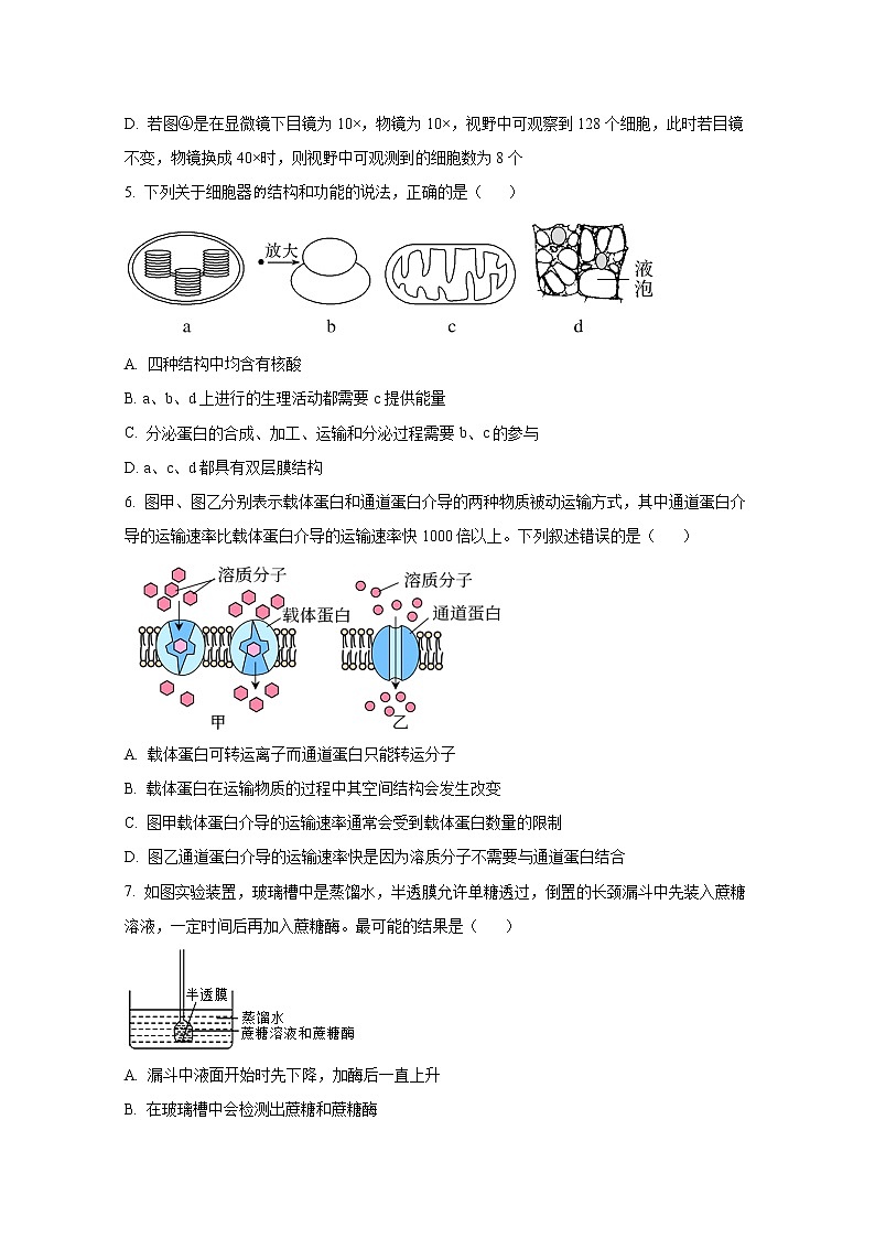 济南市章丘区第四中学2022-2023学年高一生物上学期期末模拟试卷（Word版附答案）02