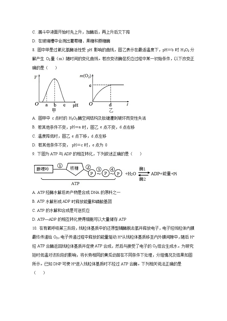 济南市章丘区第四中学2022-2023学年高一生物上学期期末模拟试卷（Word版附答案）03