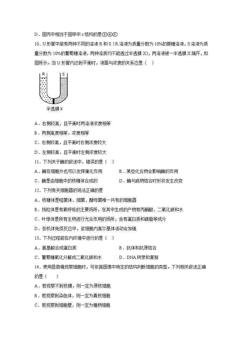 青海湟川中学2022-2023学年高一生物上学期12月调研测试试卷（Word版附答案）第3页