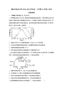 山东省枣庄滕州市重点中学2022-2023学年高一生物上学期12月线上考试试卷（Word版附答案）