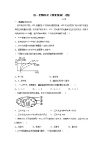 山东省莱西市第一中学2022-2023学年高一生物上学期12月月考试卷（Word版附答案）