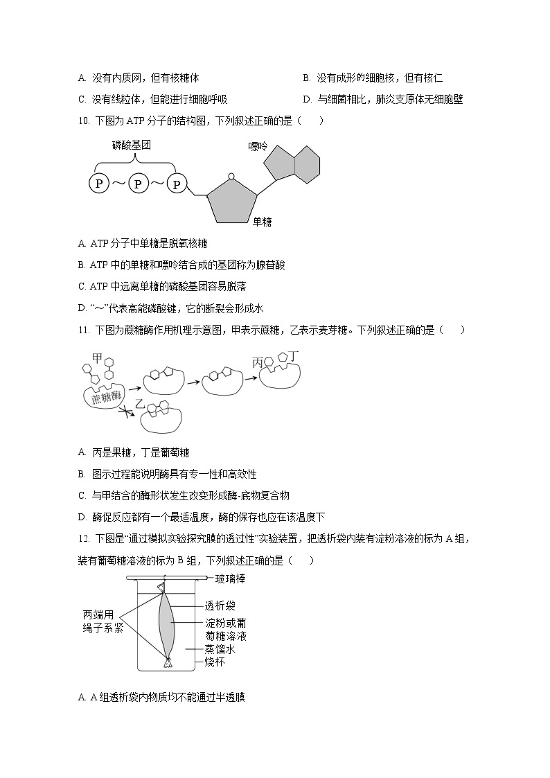 浙江省舟山中学2022-2023学年高一生物上学期12月质量检测试卷（Word版附答案）03