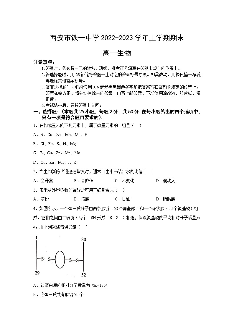 西安市铁一中学2022-2023学年高一生物上学期1月期末考试试卷（Word版附答案）01
