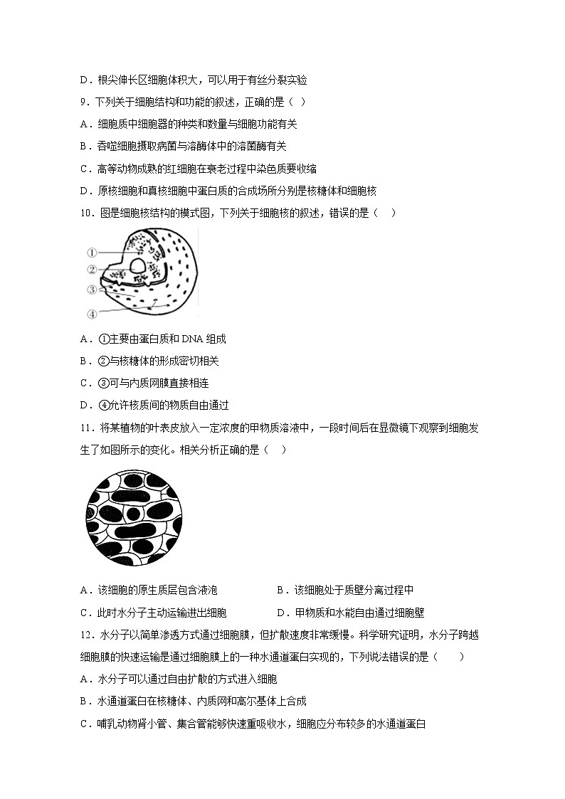 西安市铁一中学2022-2023学年高一生物上学期1月期末考试试卷（Word版附答案）03