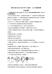 豫东2022-2023学年高一生物上学期12月质量检测试卷（Word版附解析）