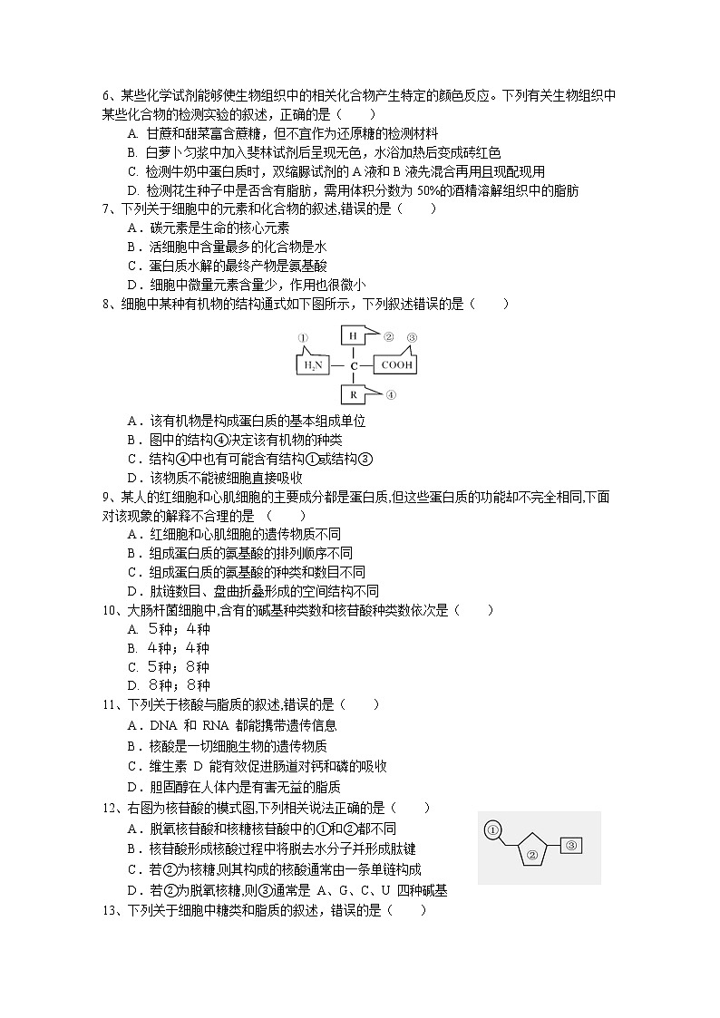 四川省射洪中学2022-2023学年高一生物上学期1月月考试卷（Word版附答案）02