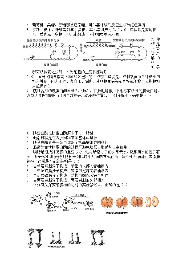 辽宁省丹东市六校2022-2023学年高一生物上学期12月联考试卷（Word版附答案）02