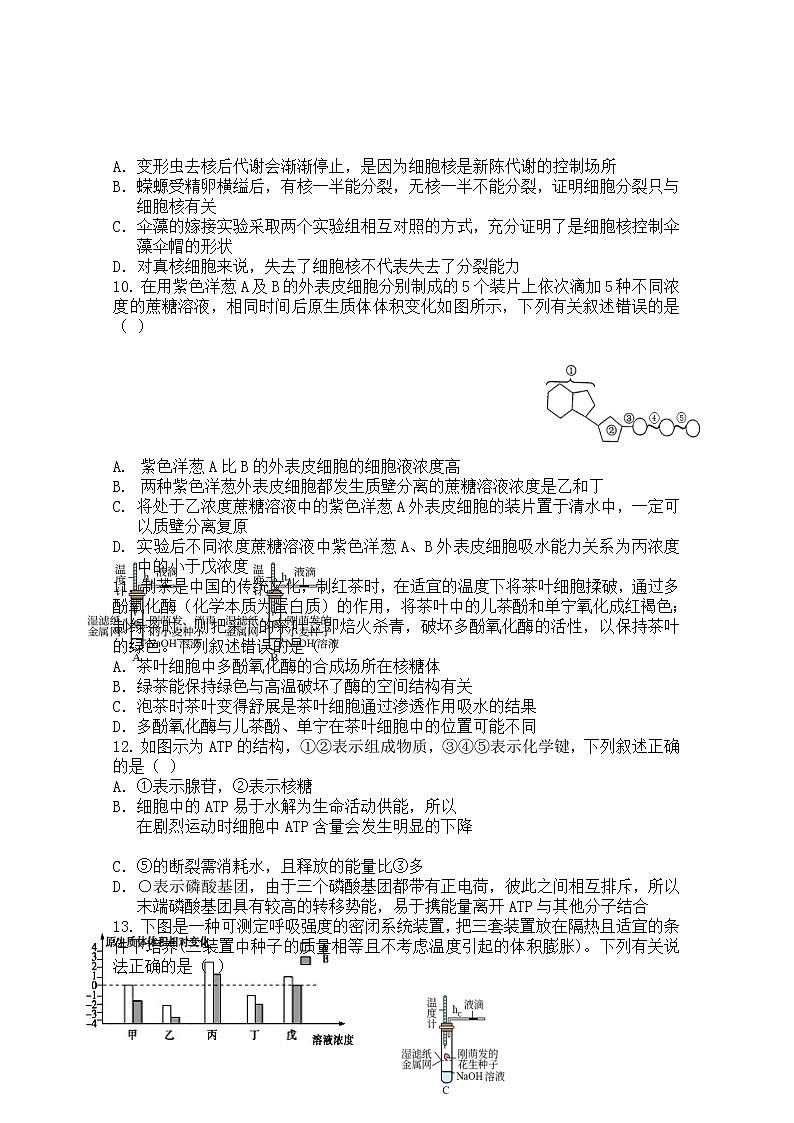 辽宁省丹东市六校2022-2023学年高一生物上学期12月联考试卷（Word版附答案）03
