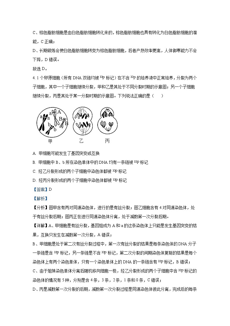 山东省烟台市一中2022-2023学年高三生物12月期末模拟试题（Word版附解析）03