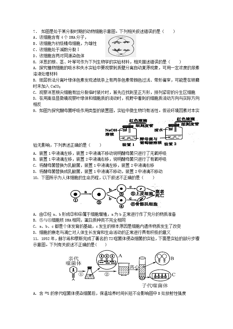 重庆市万州第二高级中学2023届高三上学期12月线上考试生物试卷（Word版附答案）02