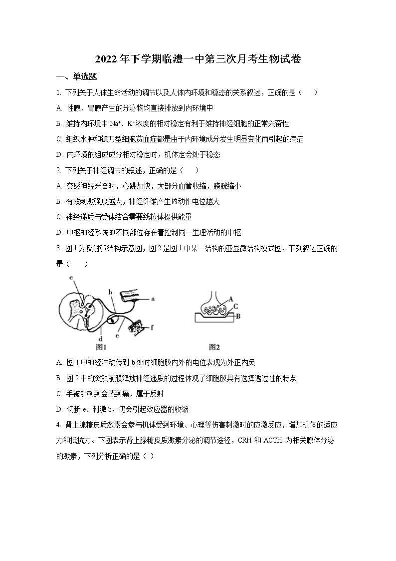 湖南省临澧县第一中学2022-2023学年高二生物上学期第三次阶段性考试试卷（Word版附答案）第1页