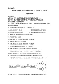 西南大学附属中学2022-2023学年高二生物上学期12月月考试卷（Word版附答案）