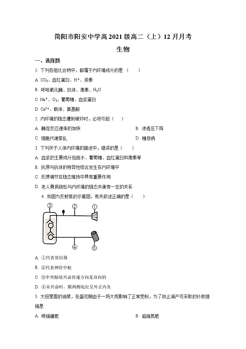 简阳市阳安中学2022-2023学年高二生物上学期12月月考试卷（Word版附答案）01