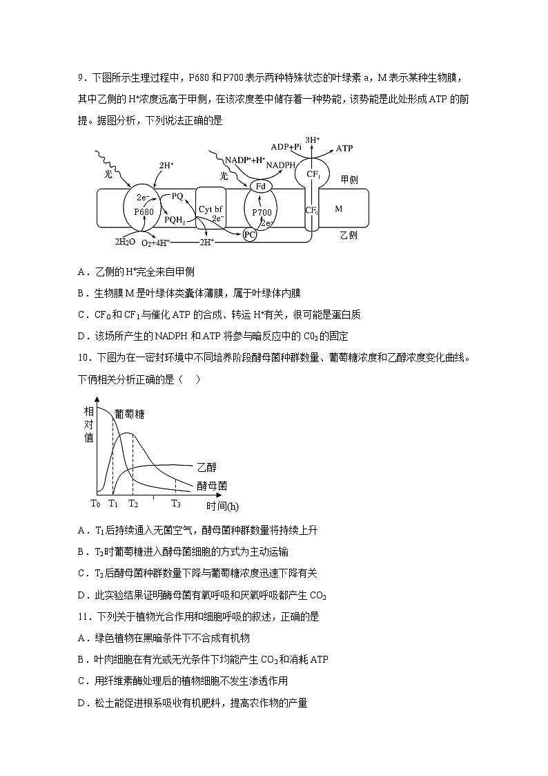 湖南省株洲市天元区2022-2023学年高二生物上学期12月月考试卷（Word版附答案）第3页
