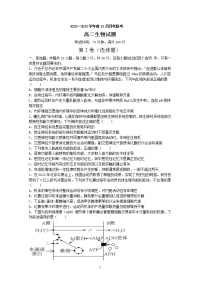 辽宁省四校2022-2023学年高二生物上学期12月月考试卷（Word版附答案）