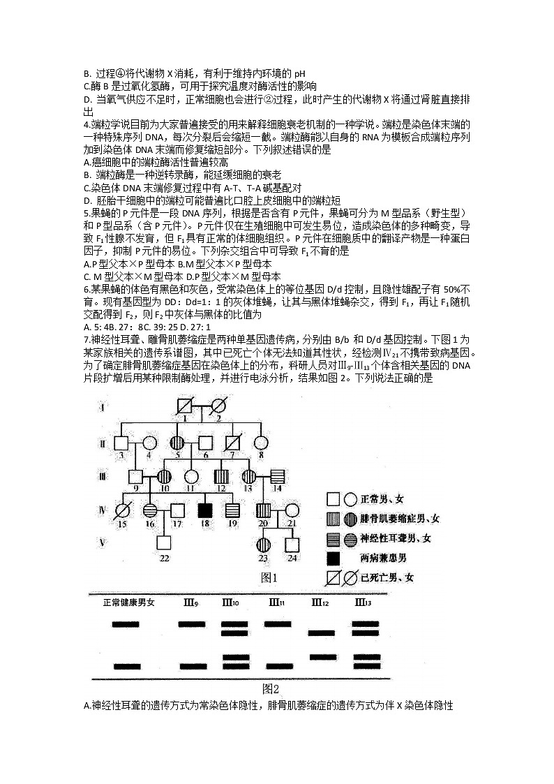 山东省百校大联考2023届高三生物上学期12月月考试卷（Word版附解析）02