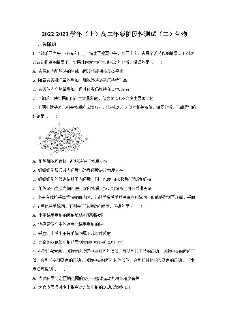 河南省皖豫2022-2023学年高二生物上学期阶段性测试（二）试卷（Word版附答案）01