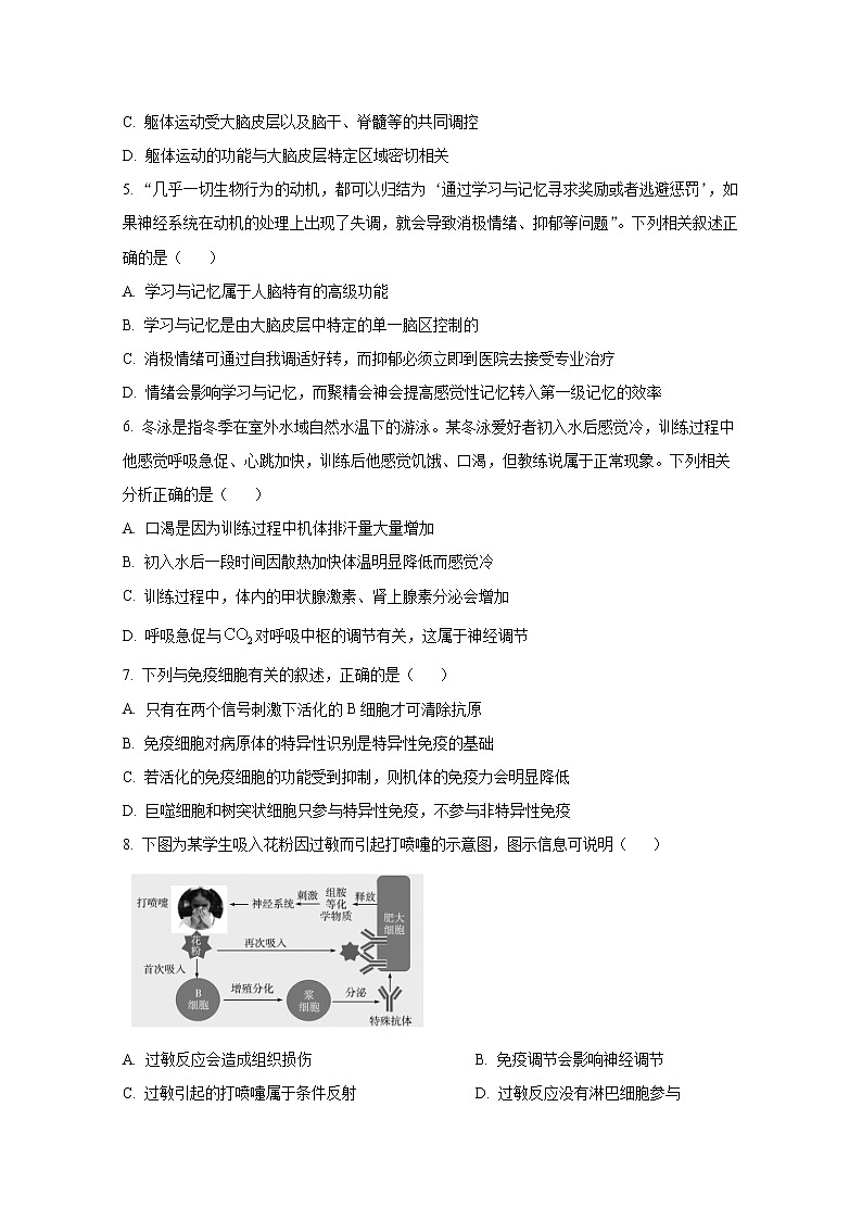河南省皖豫2022-2023学年高二生物上学期阶段性测试（二）试卷（Word版附答案）02