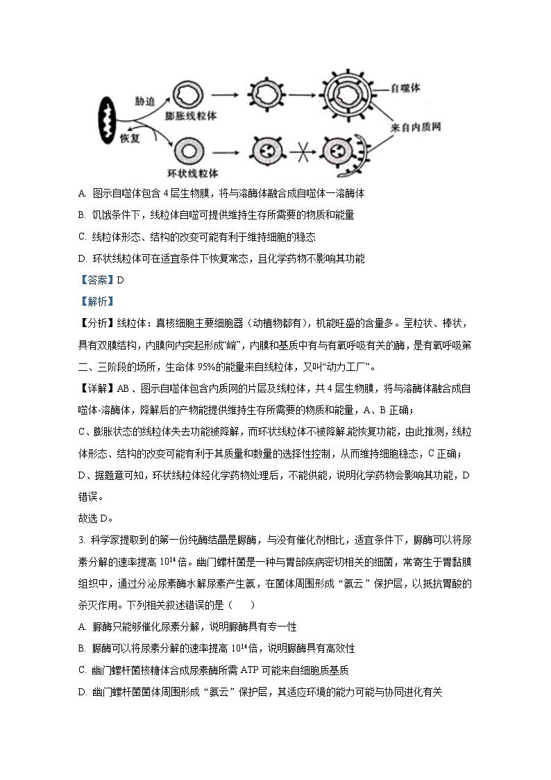 湖南省衡阳市2023届高三生物上学期第一次统一考试（一模）试卷（Word版附解析）第2页