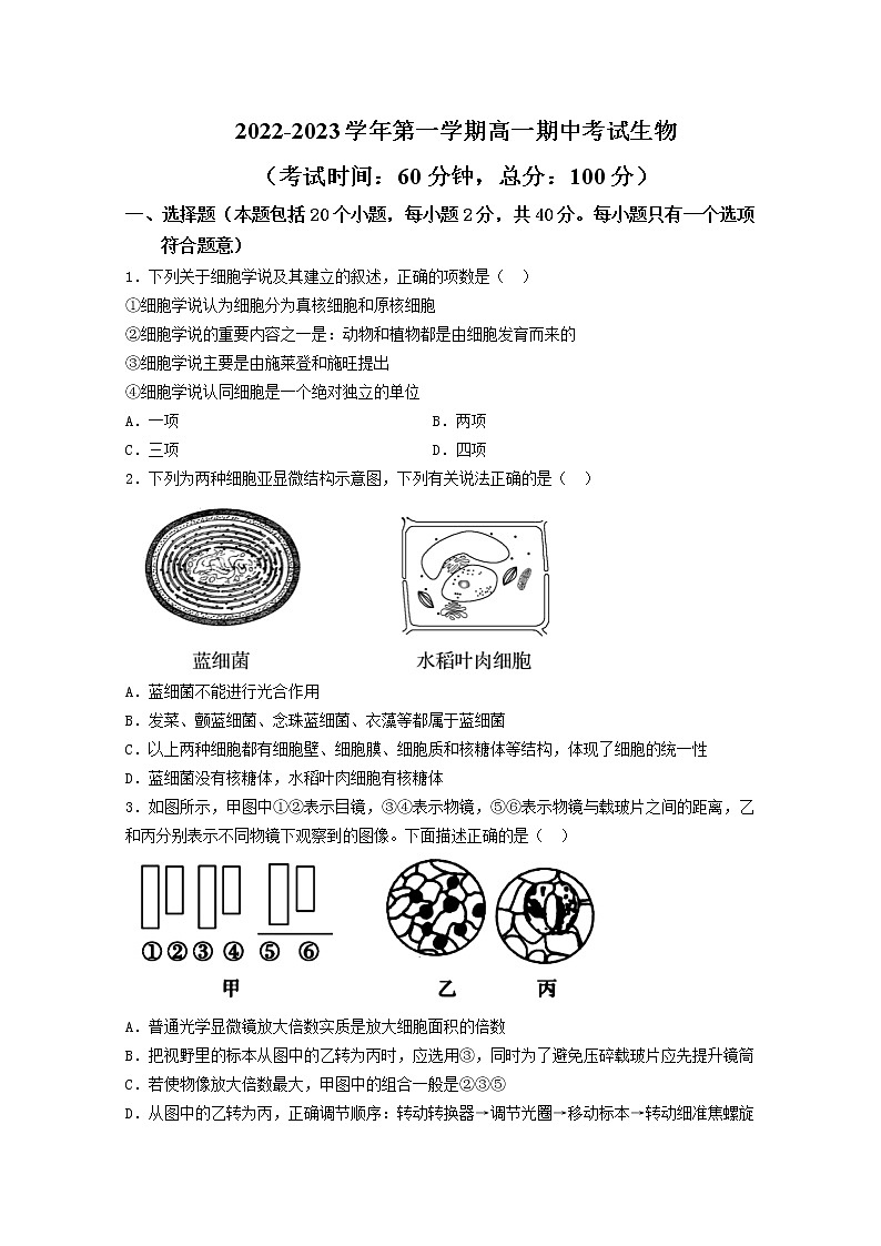 山西省大同市第一中学2022~2023学年高一生物上学期期中考试试卷（Word版附答案）01