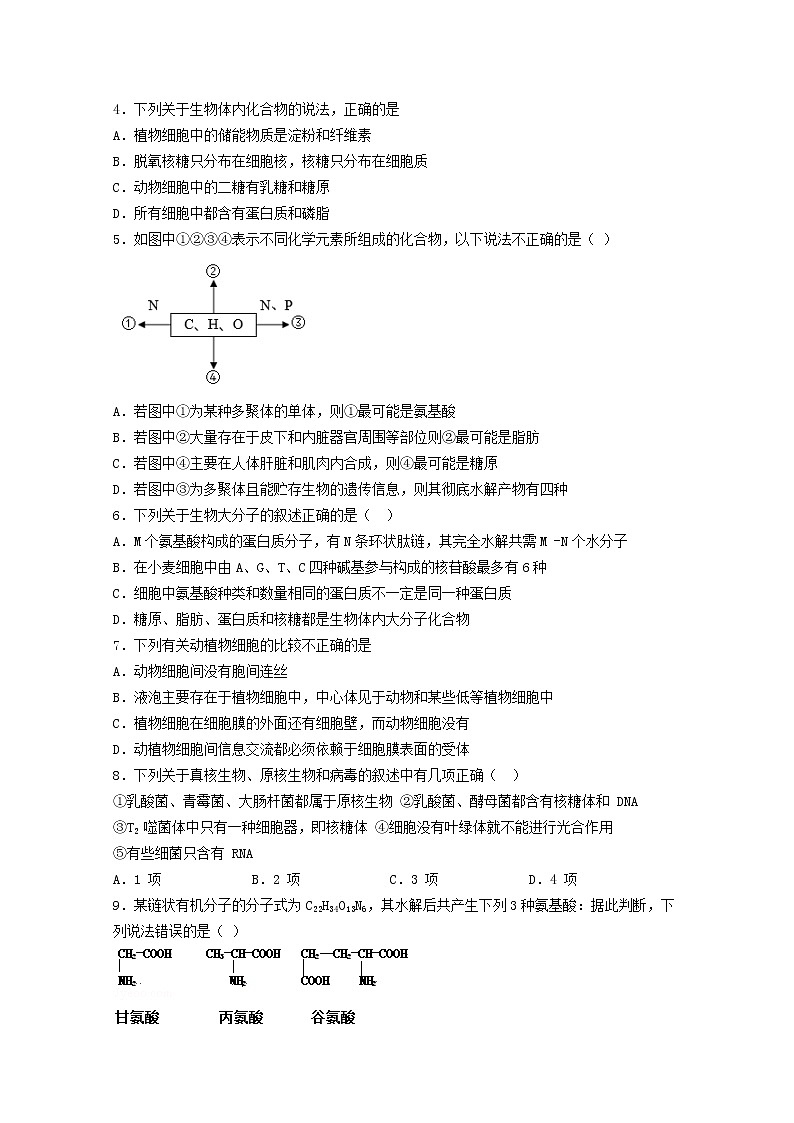 山西省大同市第一中学2022~2023学年高一生物上学期期中考试试卷（Word版附答案）02
