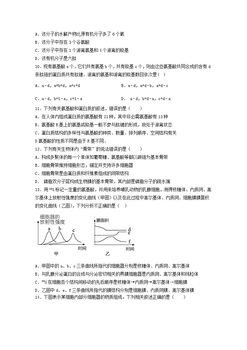 山西省大同市第一中学2022~2023学年高一生物上学期期中考试试卷（Word版附答案）03
