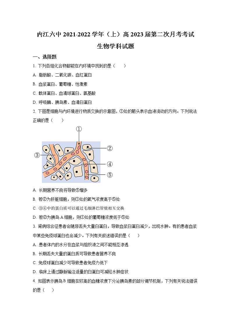 四川省内江市第六中学2021-2022学年高二生物上学期第二次月考试卷（Word版附答案）第1页