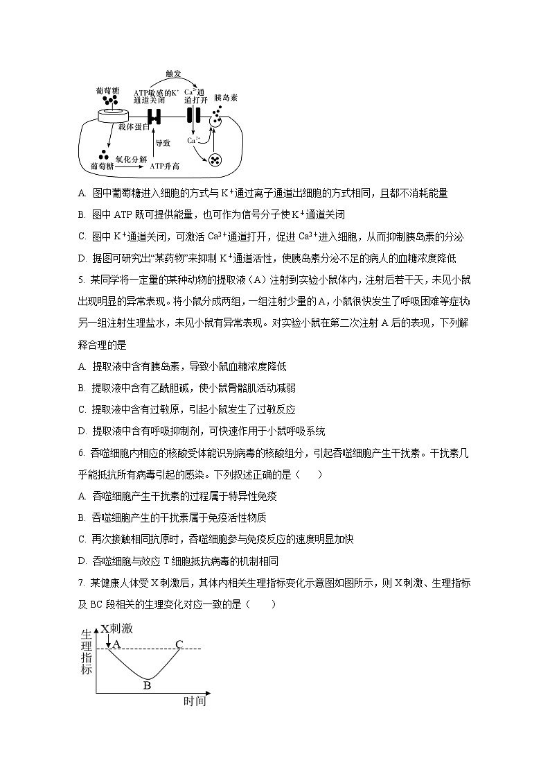 四川省内江市第六中学2021-2022学年高二生物上学期第二次月考试卷（Word版附答案）第2页